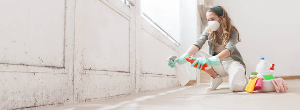 Biohazard Mold Removal in Round Rock, TX